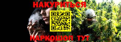 крисы Канаш