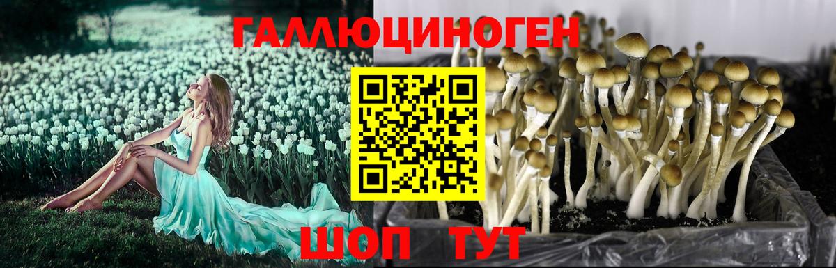 Галлюциногенные грибы мухоморы  Вход с VPN  Кубинка 