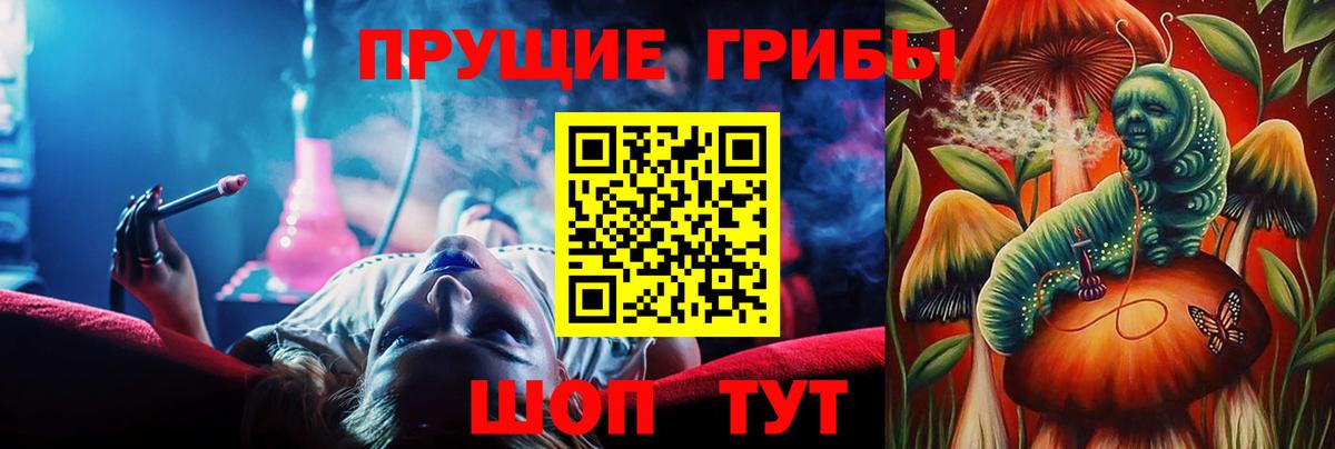 Псилоцибиновые грибы мицелий Кубинка